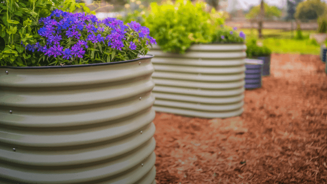 Vego garden beds