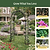 Round Garden Arched - Lattice Frame | Vego Garden