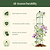 Round Obelisk Garden Trellis - 6.4 ft | Vego Garden
