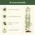 Round Obelisk Garden Trellis - 6.4 ft | Vego Garden