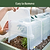 Row Cloche End Cap - 2 Pack | Vego Garden | Vego Garden