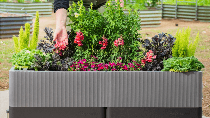 Vego garden beds