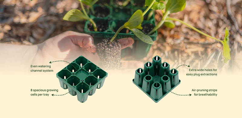 Secret to Stronger Roots