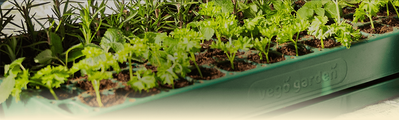 Vego garden beds