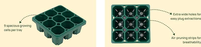 Seed Starting Made Simple 