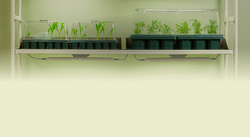 Seed Starting Made Simple
