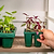 Seedling Heat Mat | Vego Garden