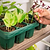 Seedling Heat Mat | Vego Garden