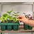 Seedling Heat Mat | Vego Garden