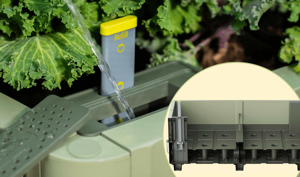 Self-Watering System