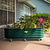 Vego Garden | Self Watering Garden Beds 2x6 British Green