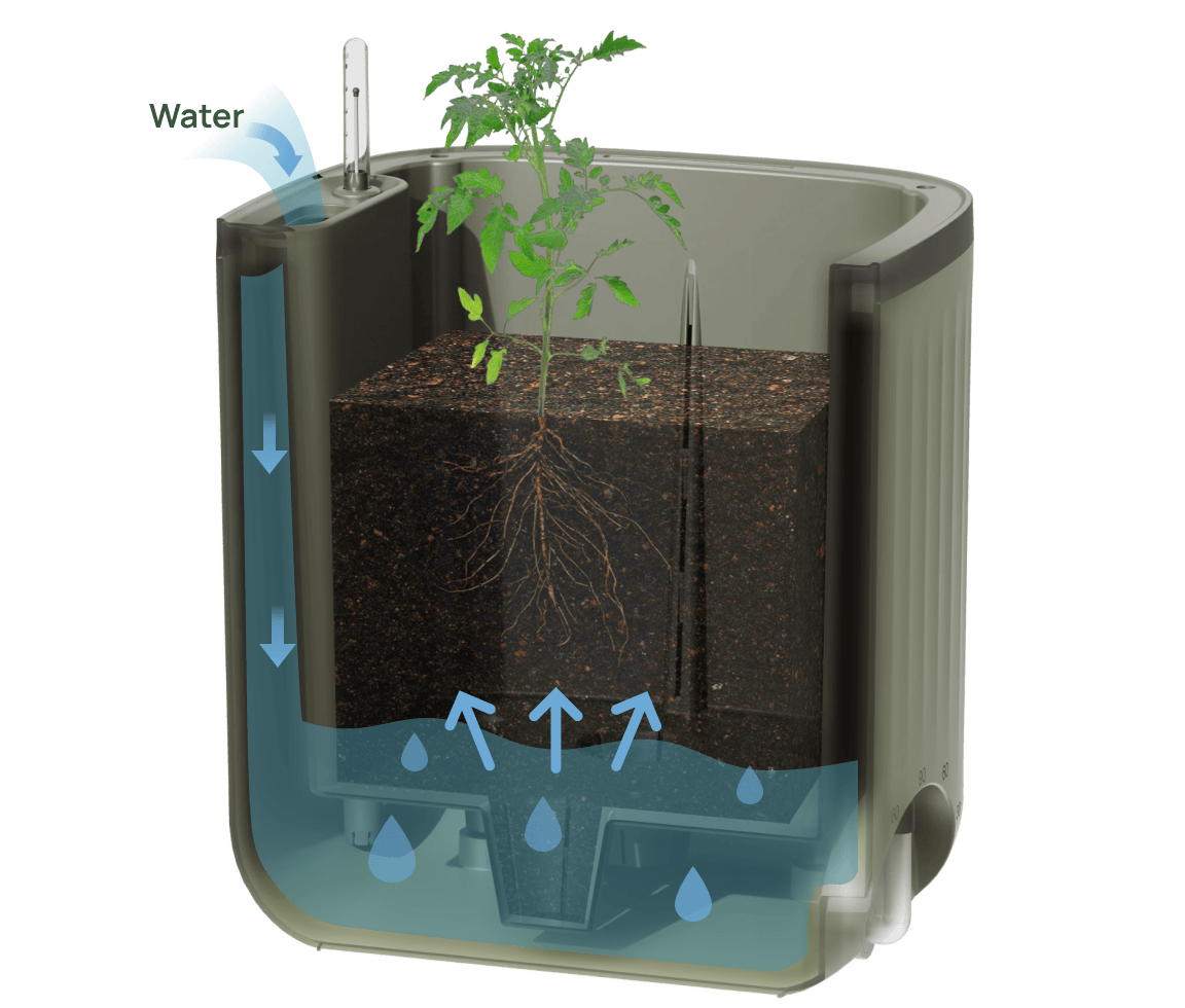 This innovative design gives new gardeners a hassle-free way to start growing! 