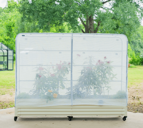 Vego garden beds