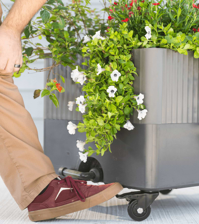 Vego garden beds