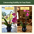 Single Stem Plant Support Loop - 3 Pack | Vego Garden | Vego Garden