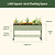 Elevated Garden Bed - Slim Series | VegoGarden