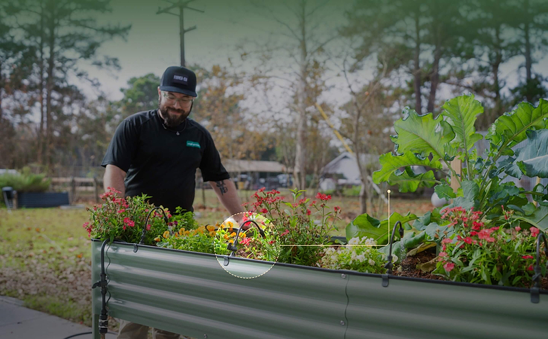 Vego garden beds