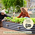 Smart irrigation kit - 1 Zone