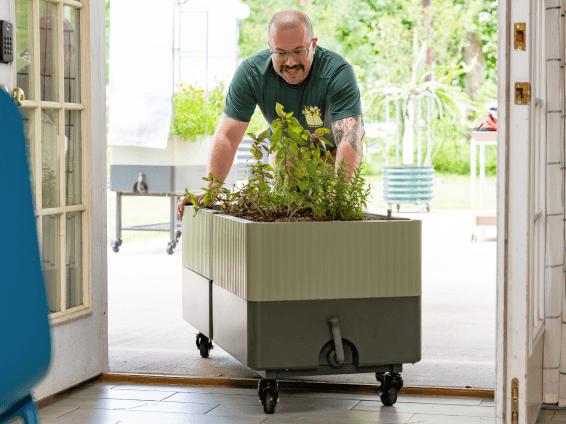 Vego garden beds