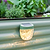30-Gallon Rolling Planter with Solar Lights & Tools | Vego Garden