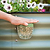 30-Gallon Rolling Planter with Solar Lights & Tools | Vego Garden