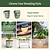 Diamond Garden Solar Light - Classic Mount | Vego Garden
