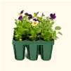 Vego garden beds