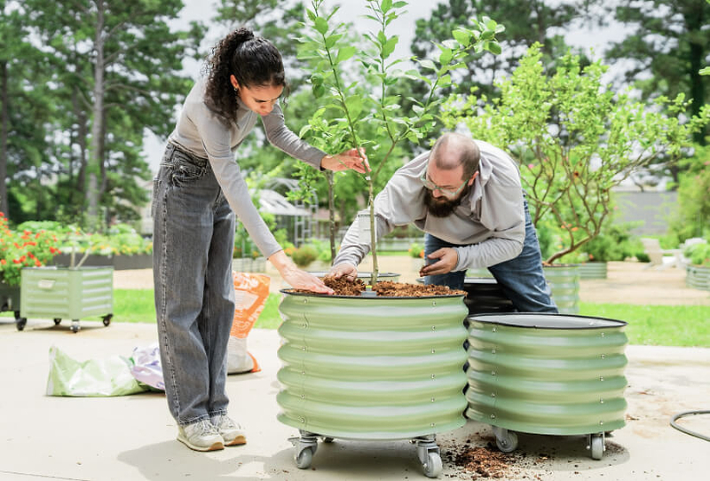 Vego garden beds