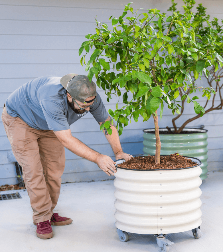 Vego garden beds