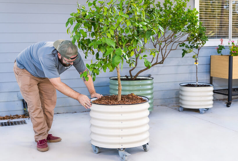 Vego garden beds