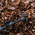 Close-up of a small sprinkler system on mulch | Vego Garden