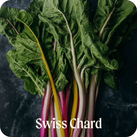 Swiss Chard