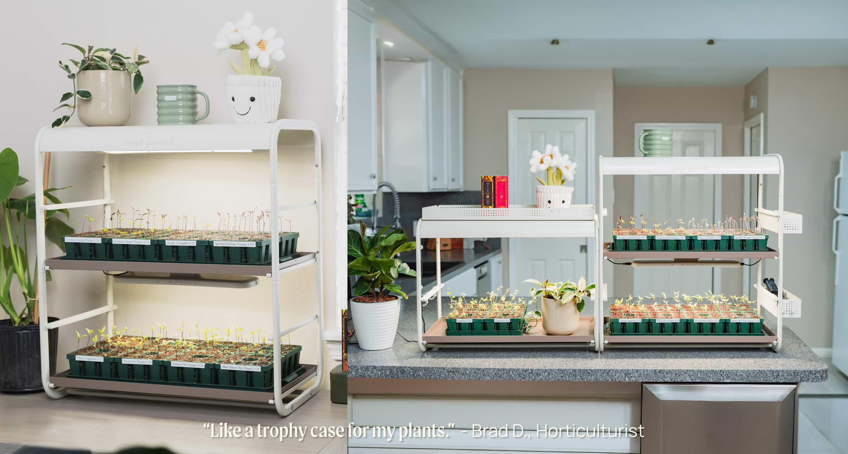 2 Tier Tabletop Grow Light Garden