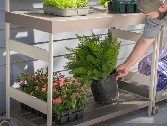 Vego garden beds