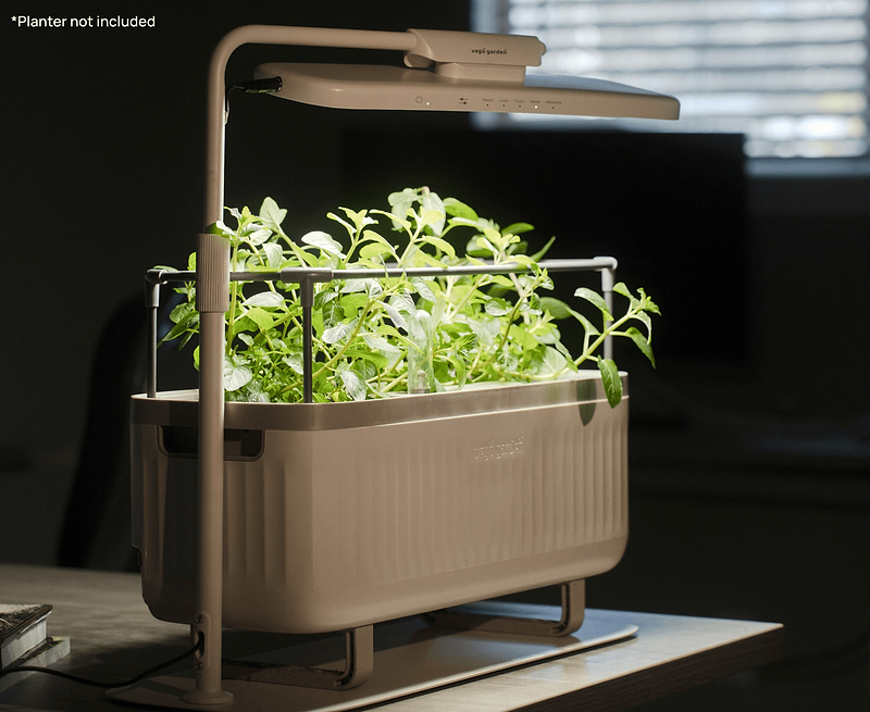 Vego garden beds