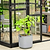 EZ Self-Watering Tomato Planter with Trellis Gen 2 | Vego Garden