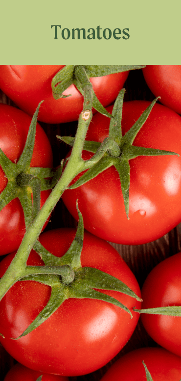 Tomatoes
