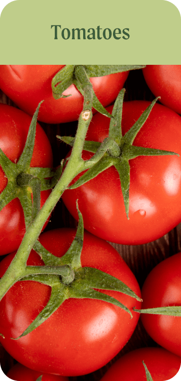 Tomatoes
