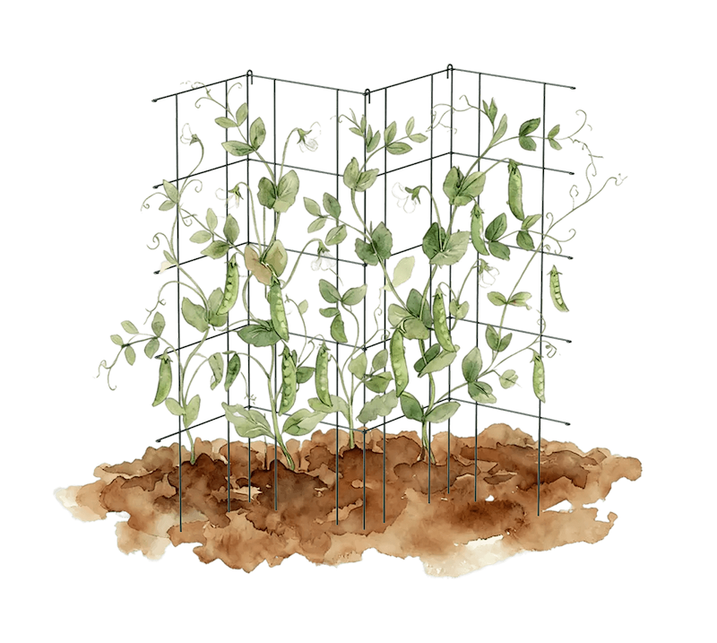 Vego garden beds