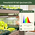 Ultimate Grow Light  | Vego Garden