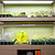 Ultimate Grow Light  | Vego Garden