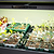 Ultimate Grow Light  | Vego Garden