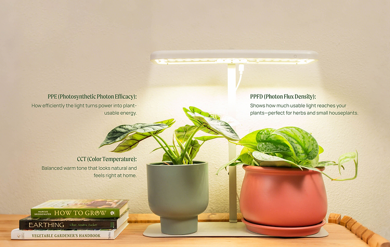 Understanding Grow Light Basics