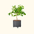 30-Gallon Rolling Planter with Heritage Tool Kit | Vego Garden