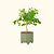 30-Gallon Rolling Planter with Solar Lights & Tools | Vego Garden