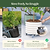 V-Series_Rolling_Tree_Planter_Round | Vego Garden