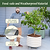 V-Series_Rolling_Tree_Planter_Round | Vego Garden
