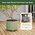 V-Series_Rolling_Tree_Planter_Round | Vego Garden