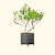 V-Series_Rolling_Tree_Planter_Round | Vego Garden