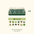 4-Pack Seed Starting Bundle with Lid - 10" x 20" | Vego Garden